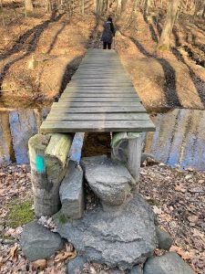 Pictures from the NYNJYC Long Path Section 2