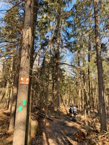 Pictures from the NYNJYC Long Path Section 2