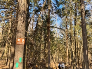 What is Long Path Trail