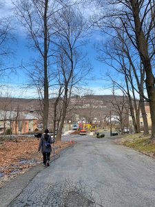 Pictures from the NYNJYC Long Path Section 2