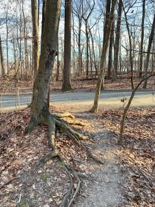 Pictures from the NYNJYC Long Path Section 2