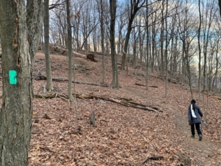 NYNJTC Long Path Trail