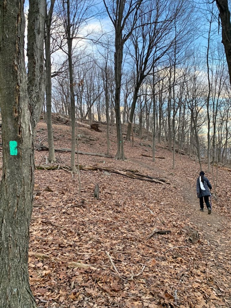 Pictures from the NYNJYC Long Path Section 3
