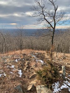 Pictures from the NYNJYC Long Path Section 3