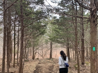 NYNJTC Long Path Trail Section 4