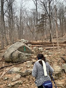 Pictures from the NYNJYC Long Path Section 4