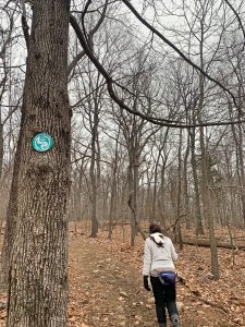 Pictures from the NYNJYC Long Path Section 4