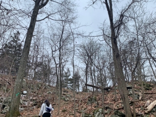 NYNJTC Long Path Trail