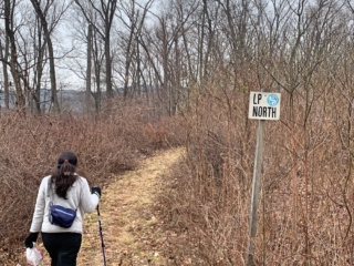 Hiking Long Path Section 5 Pictures