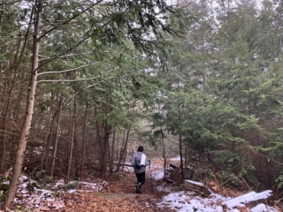 Long Path Section 6 Images