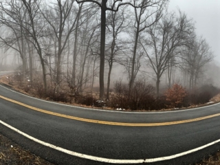 Long Path Trail Section 6 Pictures