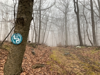 Long Path Trail Section 6 Pictures