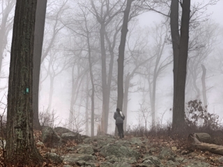 Long Path Trail Section 6 Pictures