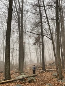 Pictures from the NYNJYC Long Path Section 6