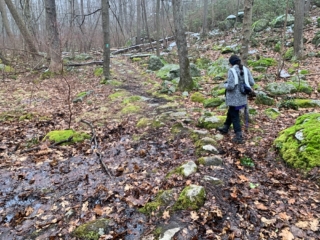 NYNJTC Long Path Trail Section 6 Pictures