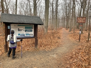 NYNJTC Long Path Trail Section 6 Pictures