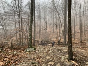 Pictures from the NYNJYC Long Path Section 6