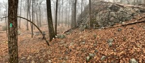 Pictures from the NYNJYC Long Path Section 6