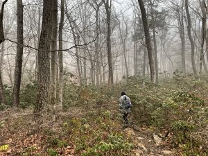 Pictures from the NYNJYC Long Path Section 6