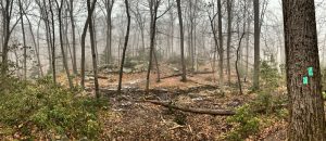 Pictures from the NYNJYC Long Path Section 6