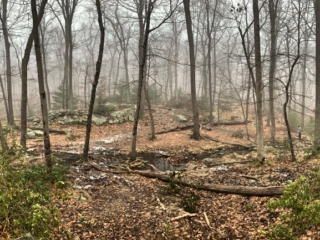 Long Path Section 6 Images