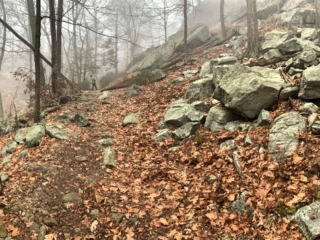 Long Path Section 6 Images