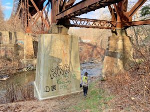 Pictures from the NYNJYC Long Path Section 7