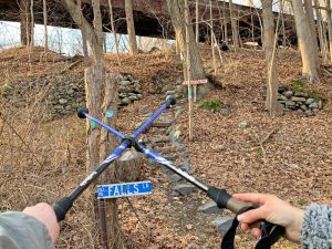 Pictures from the NYNJYC Long Path Section 7