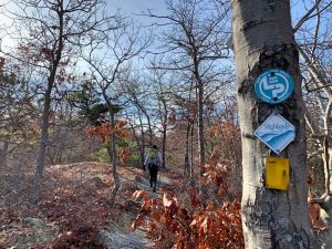 Pictures from the NYNJYC Long Path Section 8