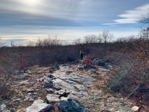 Pictures from the NYNJYC Long Path Section 8