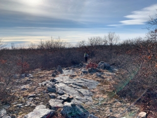 Long Path Trail Images