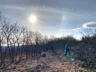 Long Path Trail Section 8 Images