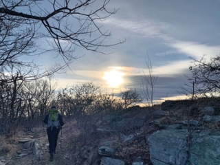 Long Path Trail Section 8 Images