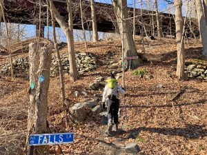 Pictures from the NYNJYC Long Path Section 8