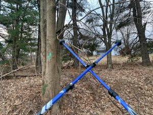 Pictures from the NYNJYC Long Path Section 9