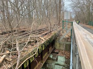 Pictures from the NYNJYC Long Path Section 9