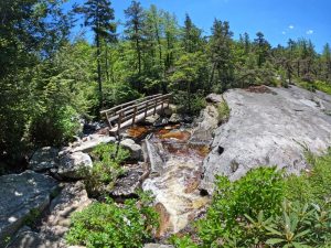Pictures on the hiking mossy glen trail