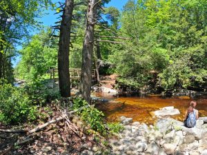 Pictures on the hiking mossy glen trail