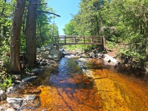 Pictures on the hiking mossy glen trail