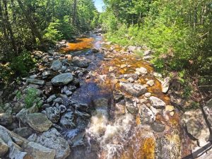 Pictures on the hiking mossy glen trail