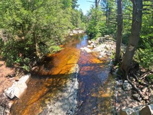 Pictures on the hiking mossy glen trail