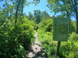 Pictures on the hiking mossy glen trail