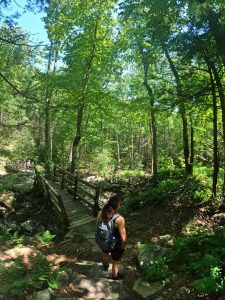 Pictures hiking Stony Kill Falls trail