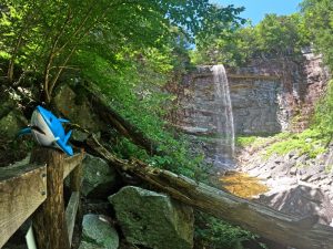 Pictures hiking Stony Kill Falls trail