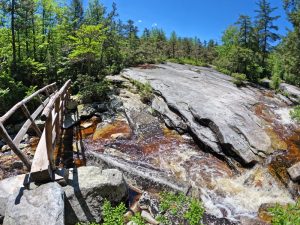 Pictures on the hiking mossy glen trail