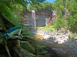 Stony Kill Falls Hike