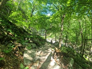 Pictures hiking Stony Kill Falls trail