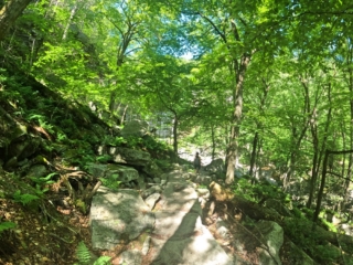 Stony Kill Falls Hike