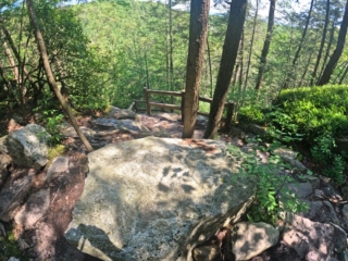 Stony Kill Falls Hike