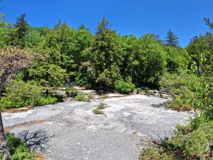 Pictures on the hiking mossy glen trail